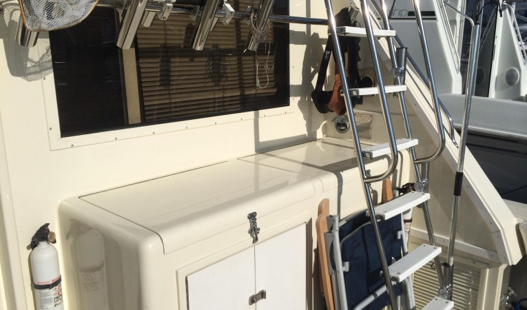 41 Viking Storage & Ladder to Flybridge