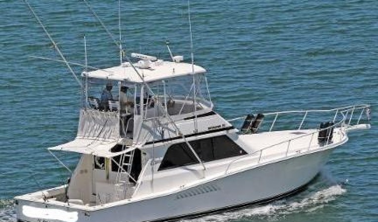 43 Viking 