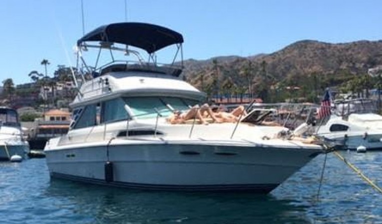 34 Sea Ray 