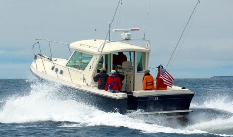 31 Albin Manufacturer Provided Image