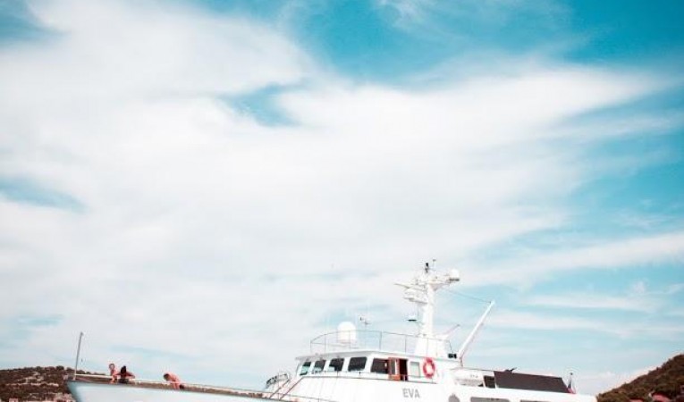 88 Torpoint Steel Boats 