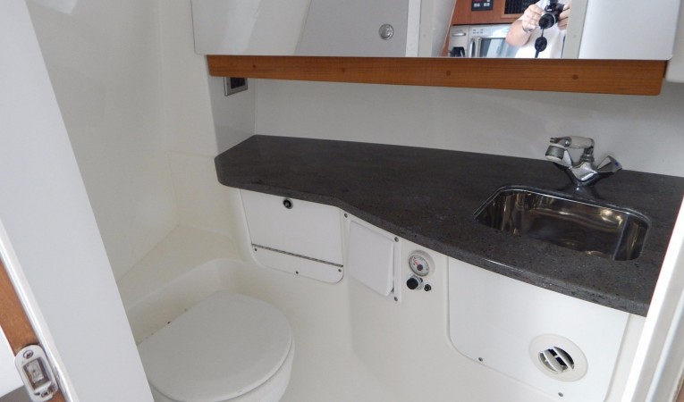 35 Everglades Stand Up Head