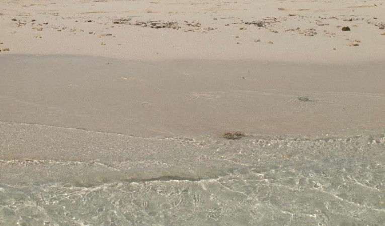 47 Gulfstar At play in the Bahamas