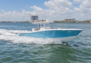 Blue Giraffe 39' Invincible 2018