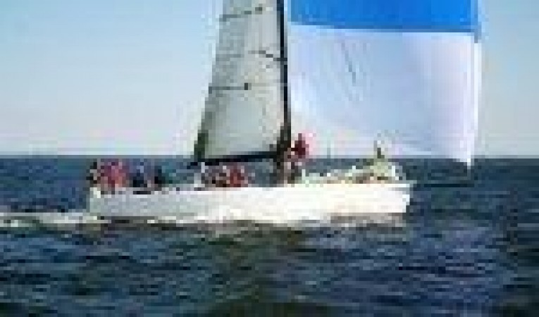 36 Farr 