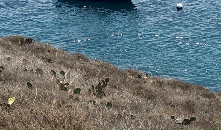 34 Catalina 