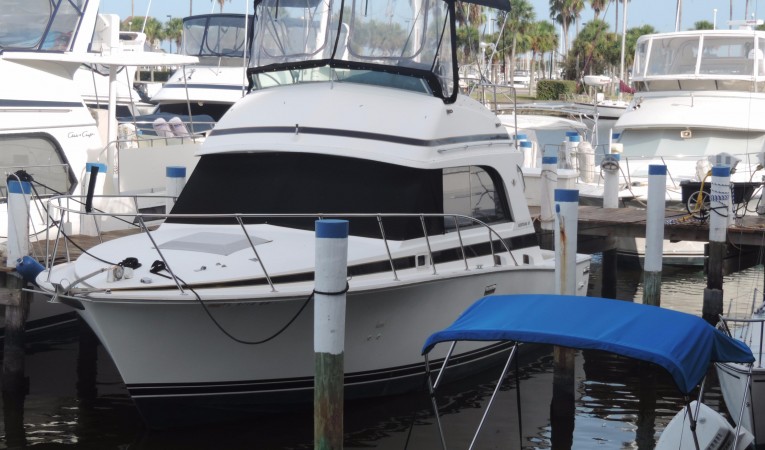 33 Bertram 