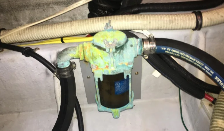 36 Meridian Strainer