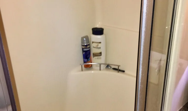 36 Meridian Master Shower