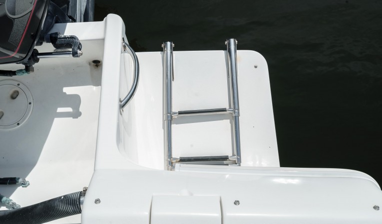 33 Intrepid Swim Ladder