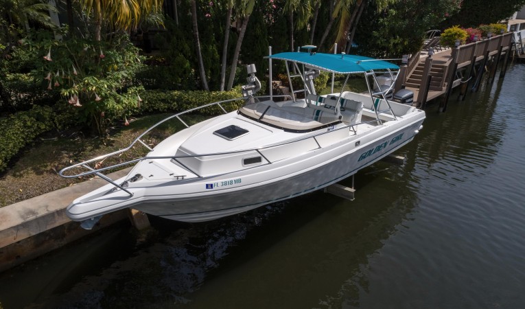 33 Intrepid Aerial Profile Bow