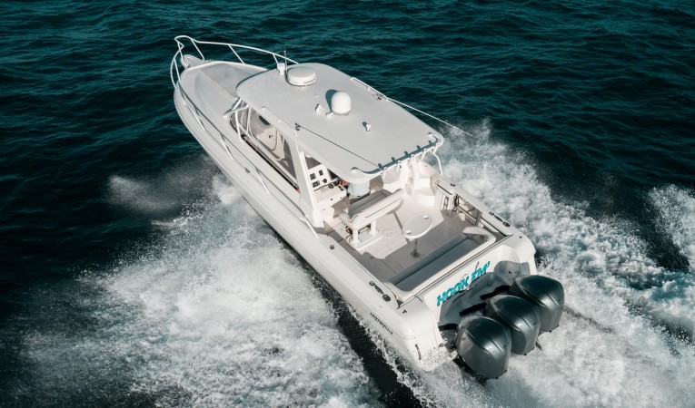 39 Intrepid Overhead  2