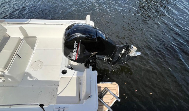 19 Boston Whaler 