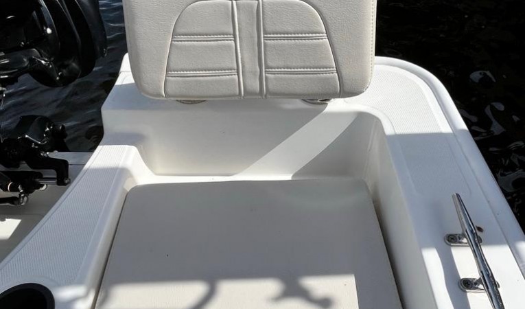 19 Boston Whaler 