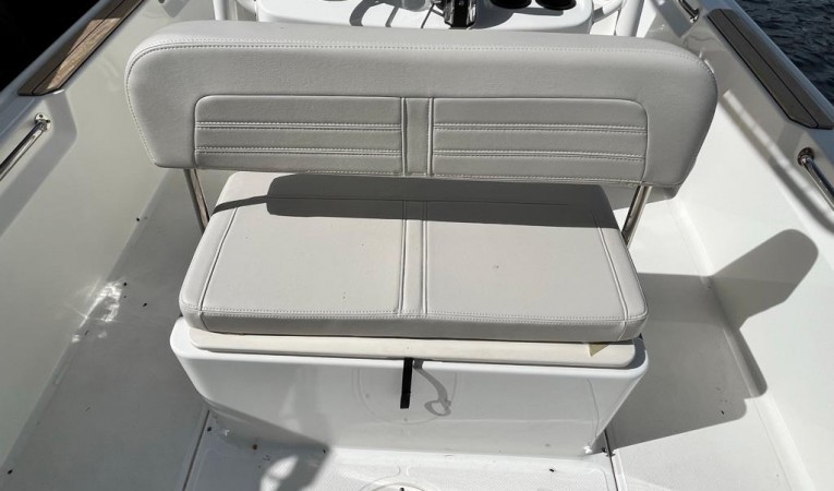 19 Boston Whaler 