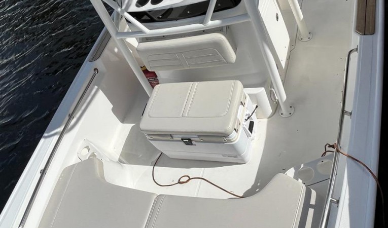 19 Boston Whaler 