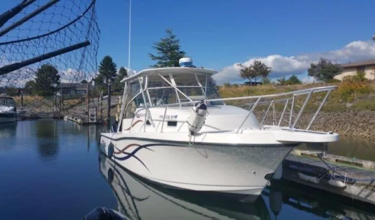 31 Mako Starboard