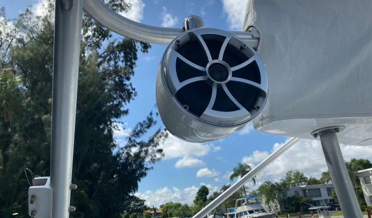 30 Black Watch Tower Speakers