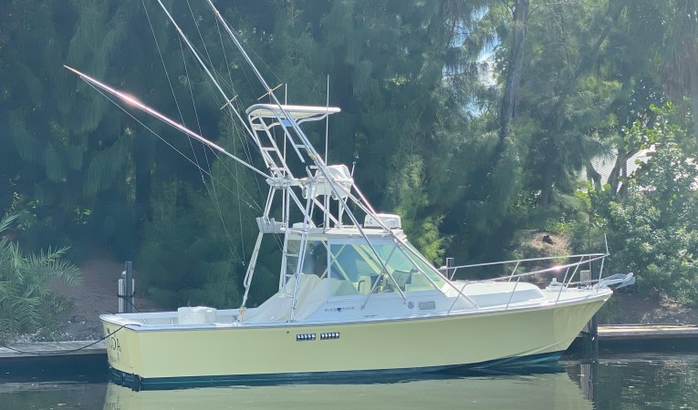 30 Black Watch Starboard Profile