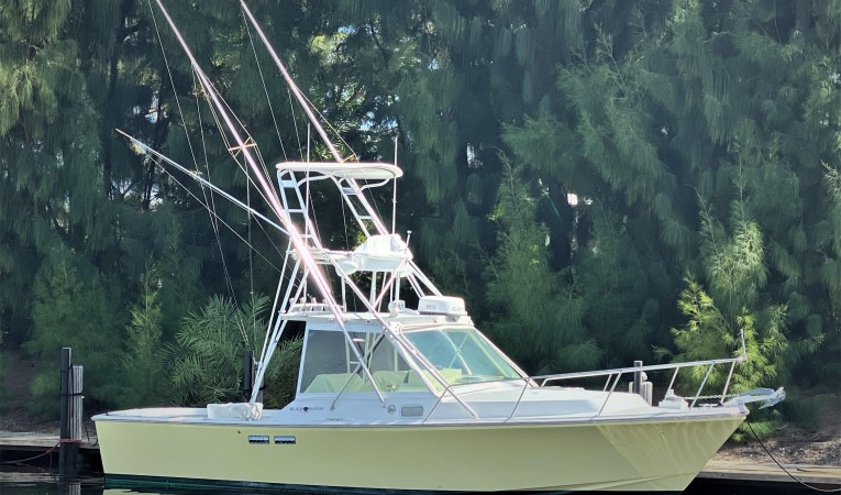 30 Black Watch Starboard Profile