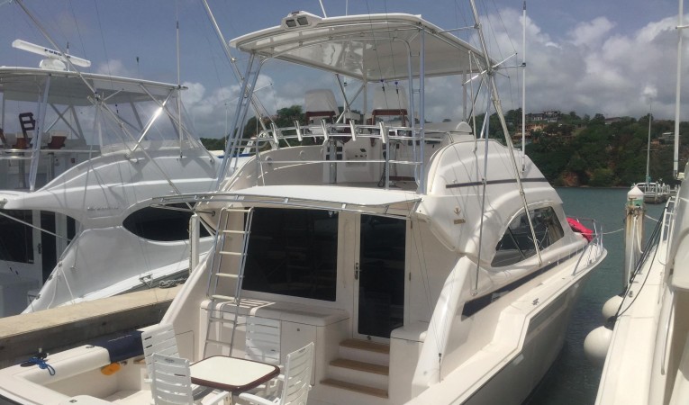 51 Bertram Starboard side