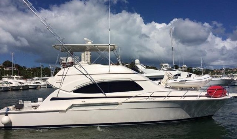51 Bertram 