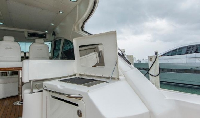 58 Sea Ray Grill