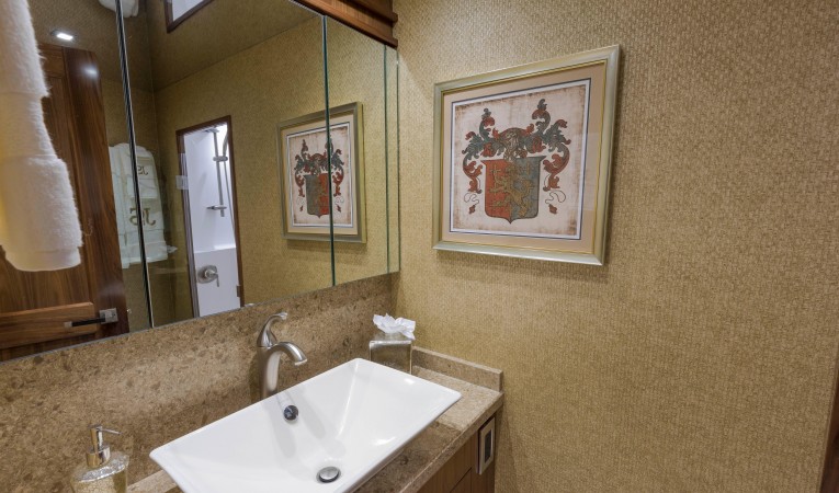 92 Viking 2nd VIP head