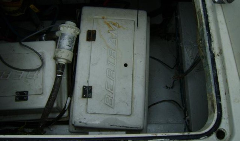 43 Bertram Compartment