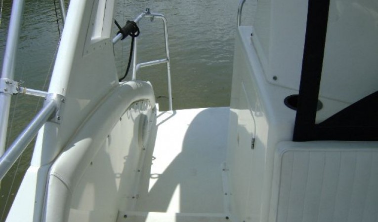 43 Bertram Facing Aft