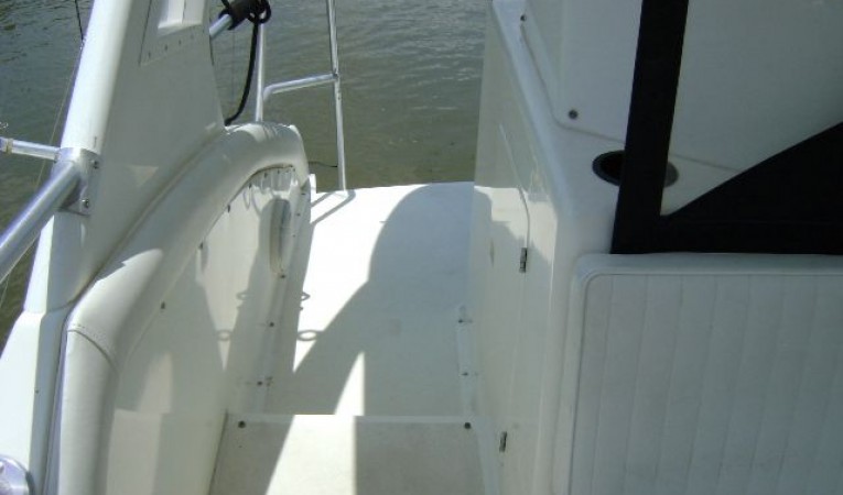 43 Bertram Facing Aft