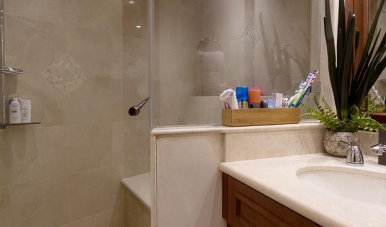 120 Platinum VIP / Master Steam Shower