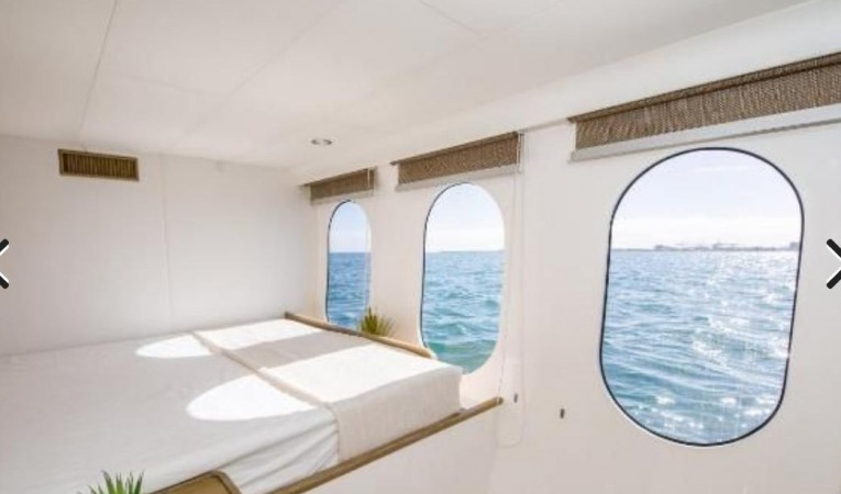 63 Powerplay Powerboats 