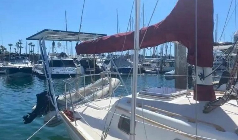 50 Gulfstar 