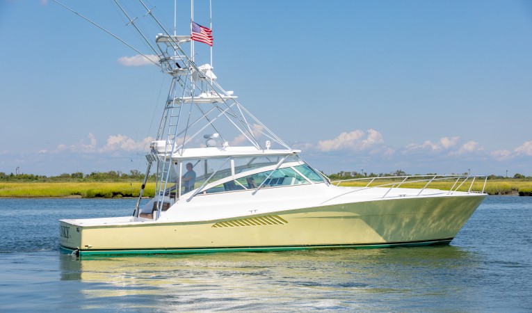 50 Viking 