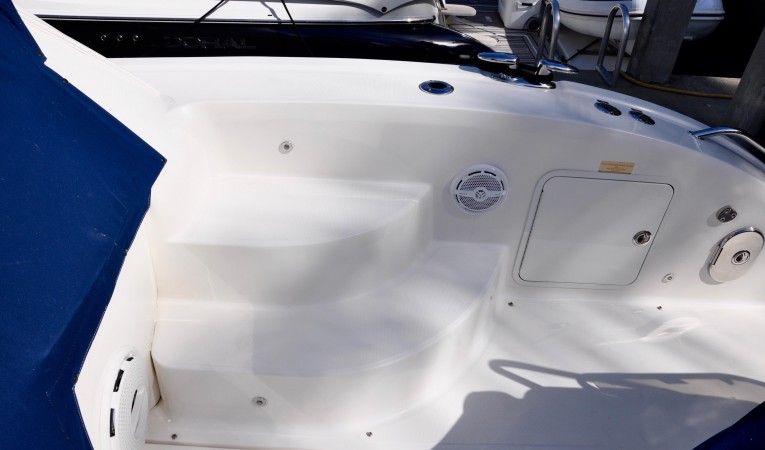 58 Sea Ray Side Entry Steps