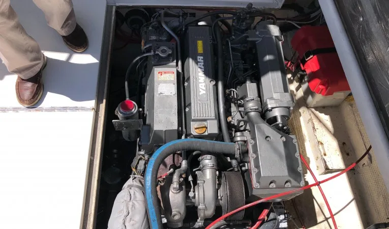30 Chris-Craft 