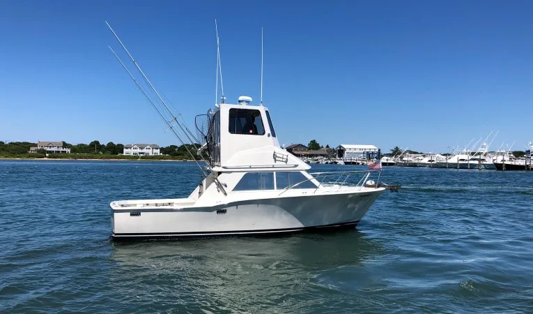 30 Chris-Craft 