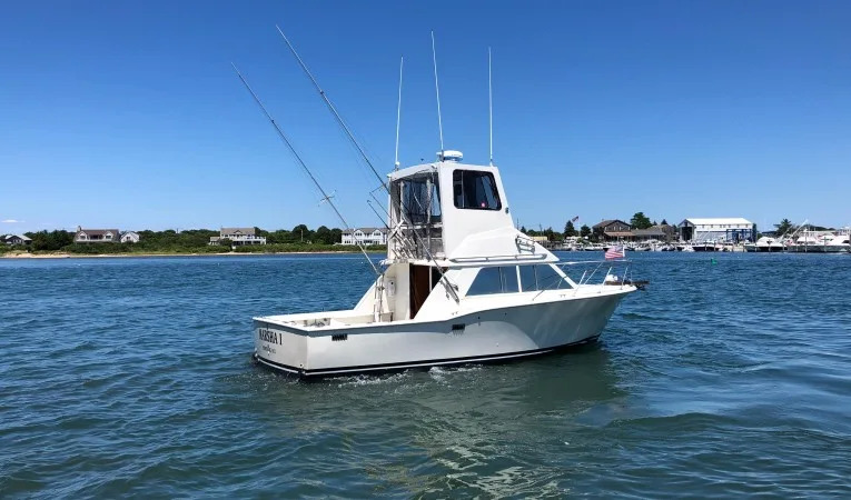 30 Chris-Craft 
