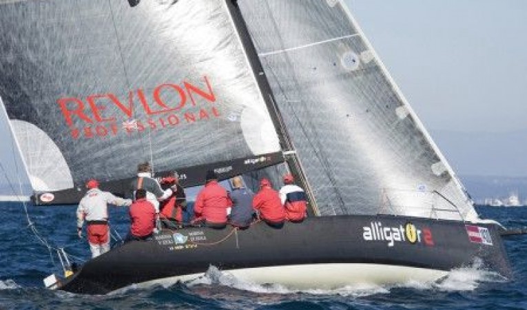 44 Pauger Carbon 