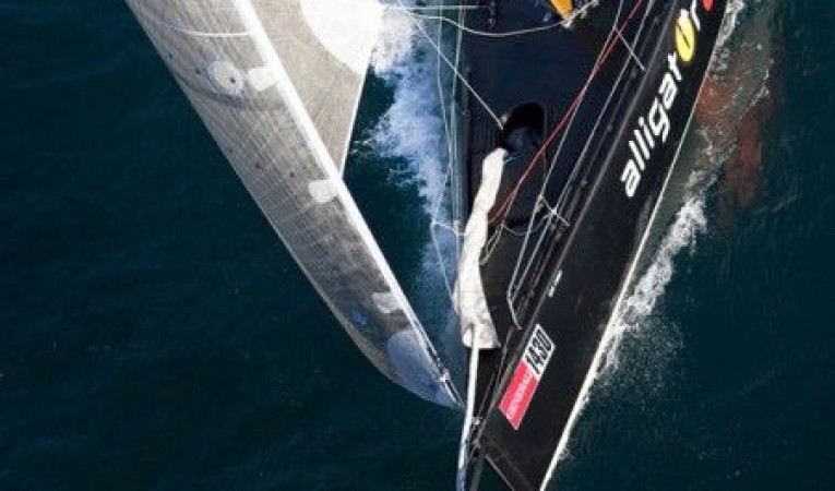 44 Pauger Carbon 
