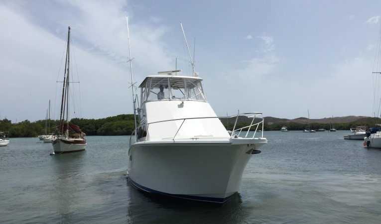 35 Luhrs Bow View