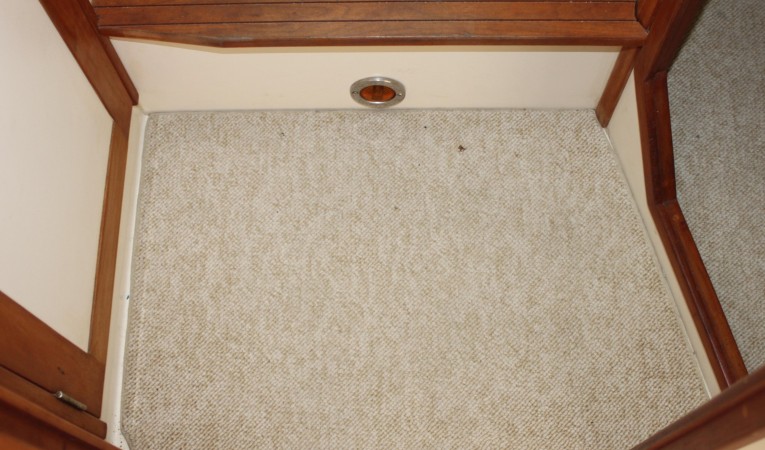 36 Albin Stateroom carpet
