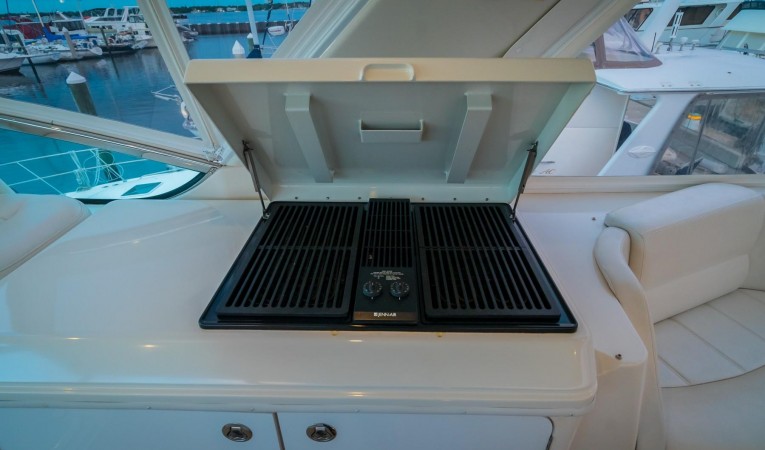 56 Carver Bridge Electric Grill