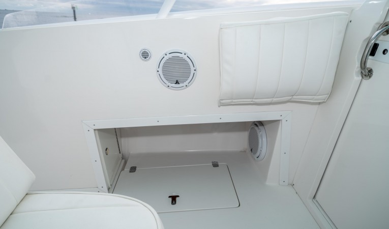 35 Intrepid Cooler Storage and TV Cover