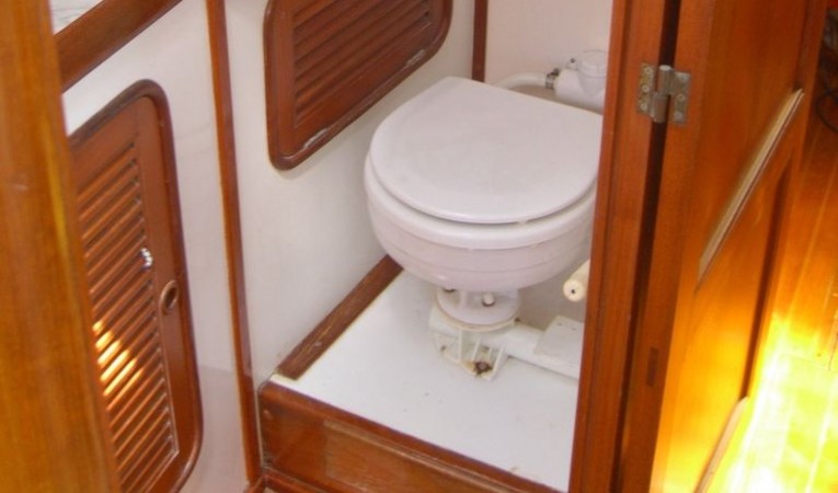 52 Tayana Guest Head