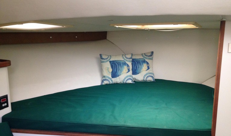 30 Pursuit Master berth