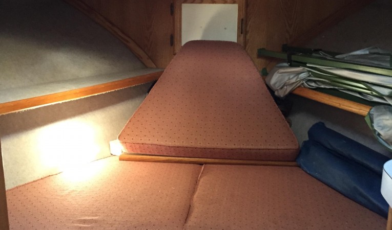 36 Mainship Forward Head