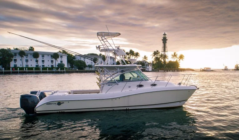 32 World Cat Starboard Profile