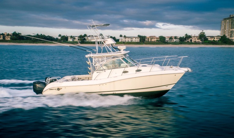 32 World Cat Profile Starboard
